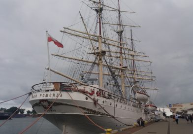 ZIELONE SZKOŁY