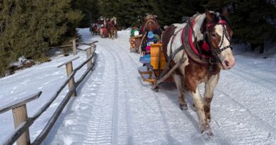 KULIG KONNY – PODRÓŻE DLA DOCIEKLIWYCH Z VIA CRACOVIA