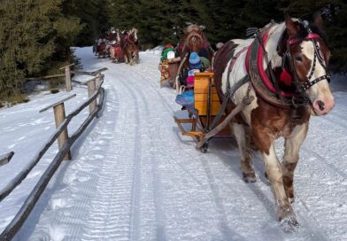 KULIG KONNY – PODRÓŻE DLA DOCIEKLIWYCH Z VIA CRACOVIA