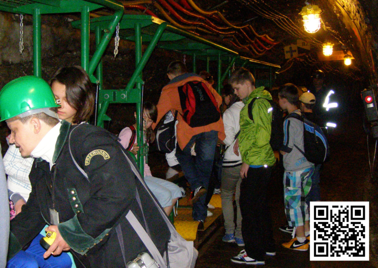 SOLNYM SZLAKIEM - KOPALNIA SOLI BOCHNIA I VIA CRACOVIA